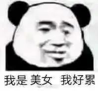 表情包丨熊猫头动图1123期插图4