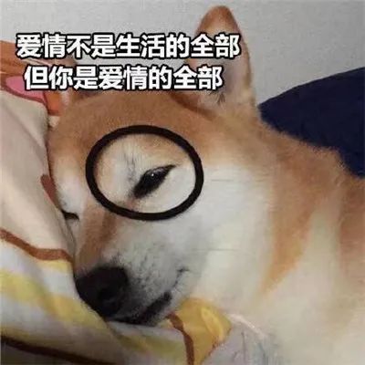 套路聊天表情合集