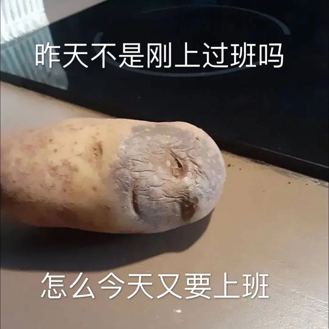 能好好爱我吗