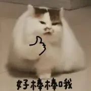 好棒棒哦