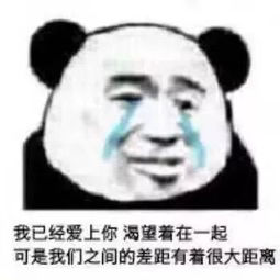 熊猫头表情包【十】插图16