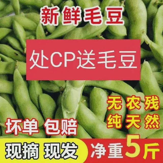 处CP就送冰丝袜