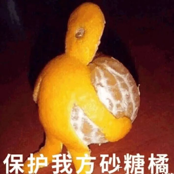 垮起个豹豹脸