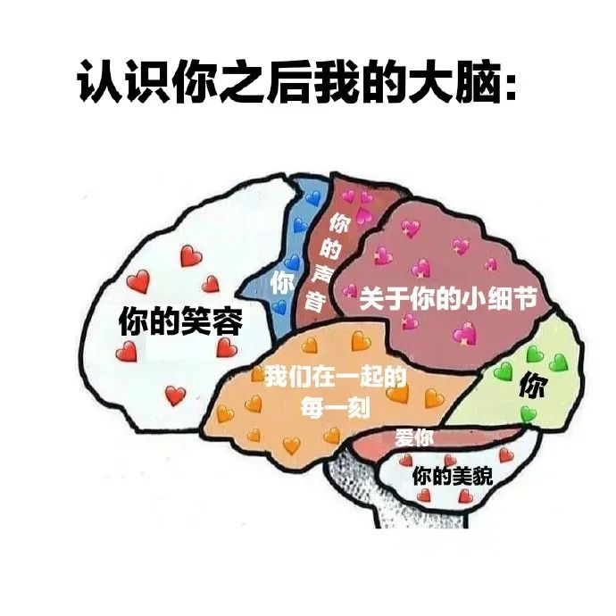 聊天表情包 | 没脸见人啦~插图106