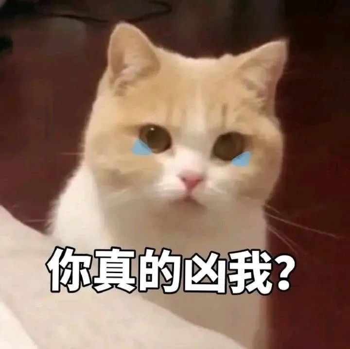 可爱的猫猫狗勾表情增加了