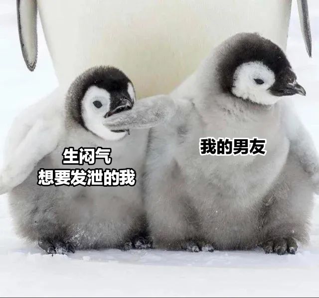 沙雕表情包：过于真实了插图