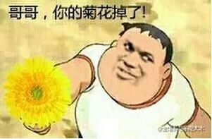 “走后门”会把菊花玩坏嘛？