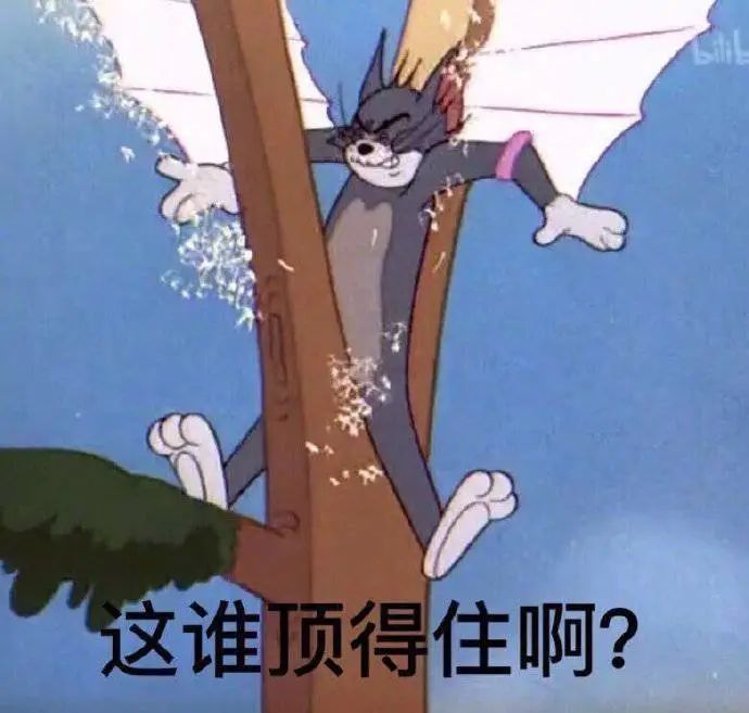 哭穷表情包插图44