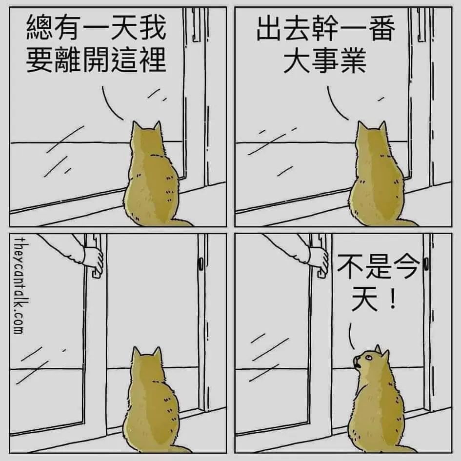 帅锅的事 你少管插图16