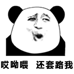 熊猫头表情包：凶个屁凶插图24