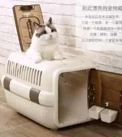 怎么给猫咪选择合适的猫包？