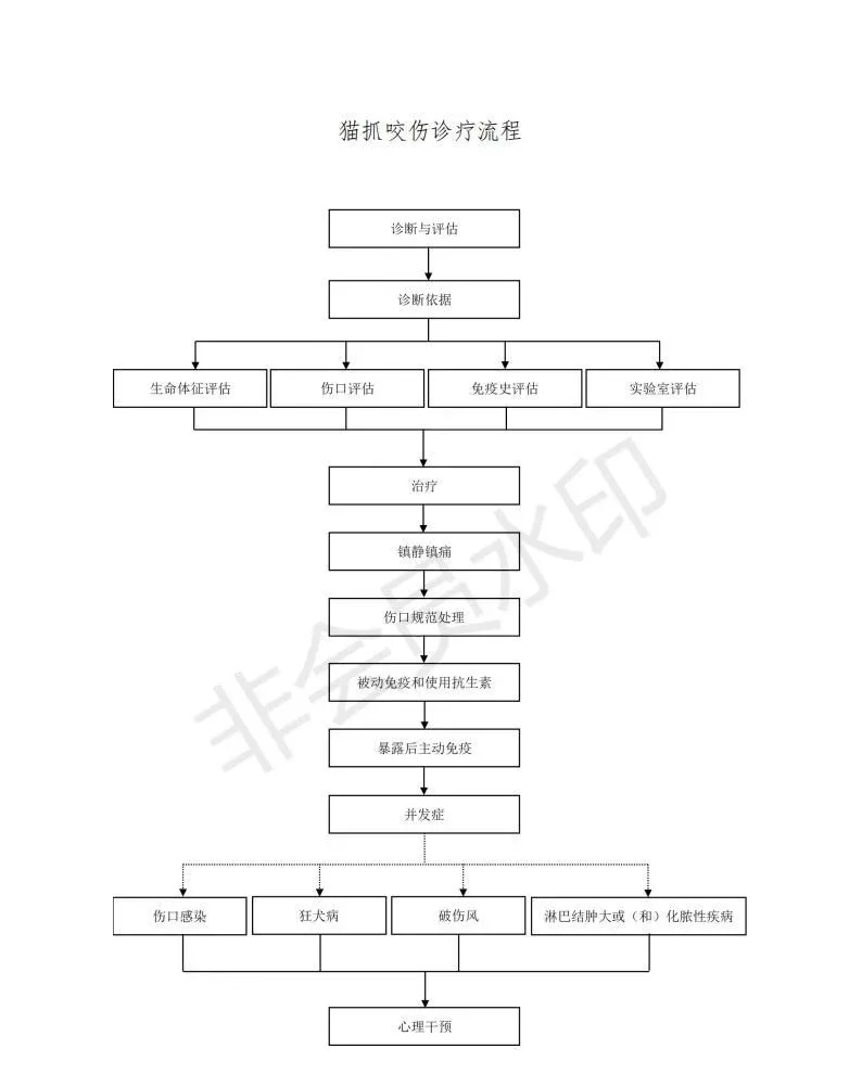 猫抓咬伤诊疗规范（2021年版）