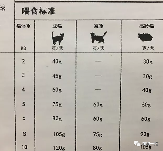 猫咪每天该喂食多少食物？（猫咪喂食量推荐表）