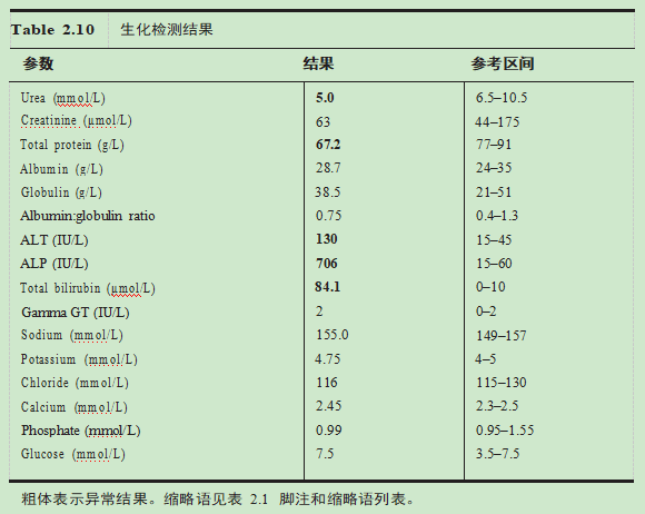 猫咪脂肪肝治疗的注意事项有哪些？