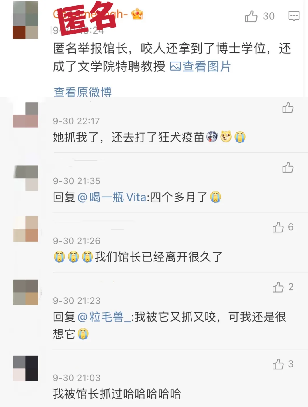 它是苏州大学唯一没有学位证的猫咪，为什么？