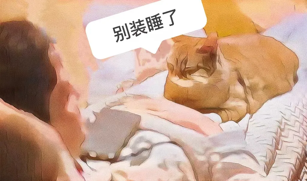 猫咪为什么喜欢睡在铲屎官胸口？(猫咪为什么喜欢睡在人胸上)