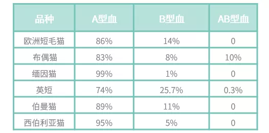 为什么90%的猫咪都是同一种血型？