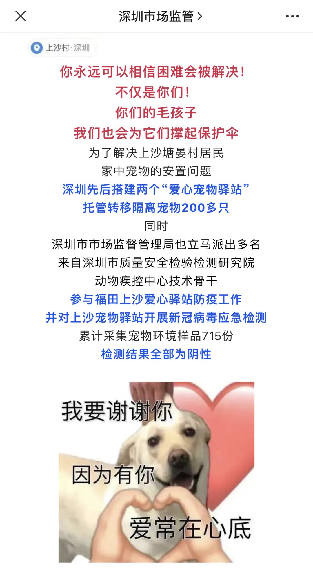 全国首个隔离人员猫咪托管中心在深圳建成，且宠物隔离免费！