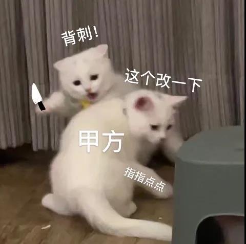 猫咪表情包下载第一期：搞笑猫咪表情包（猫咪奶盖、暹罗猫动态表情包、猫咪老公）