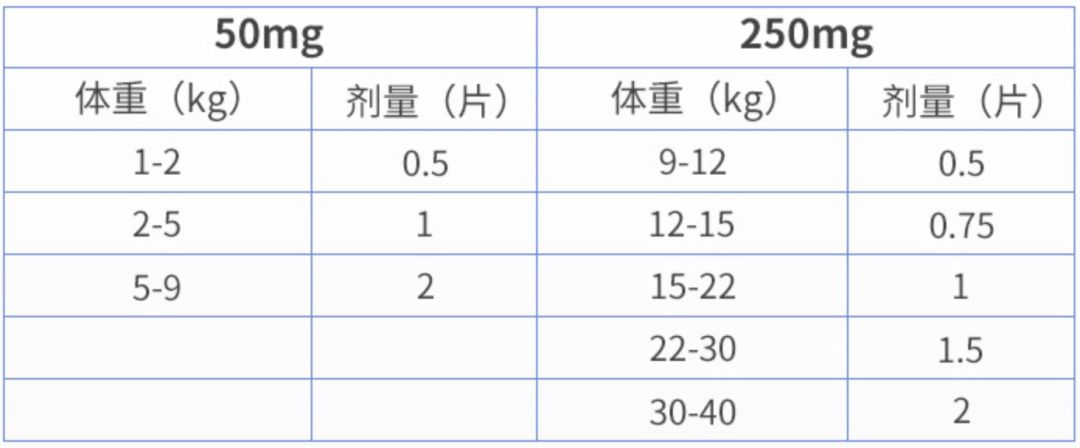 猫咪速诺该怎么使用？（猫咪速诺的使用说明）