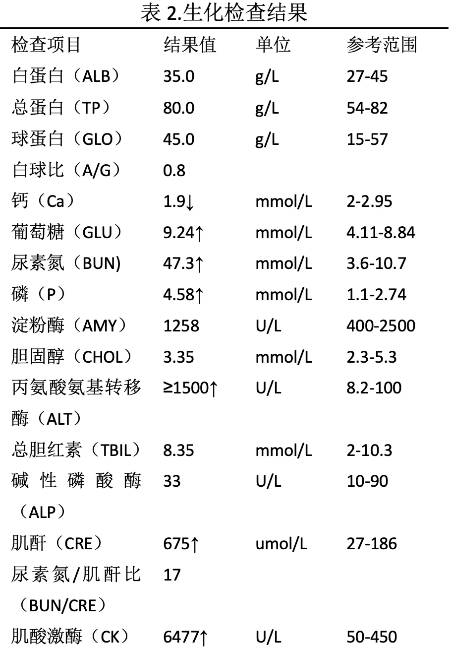 维生素D在猫咪慢性肾病血磷控制中的应用探索