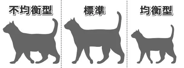 猫咪侏儒症的病因、症状及治疗