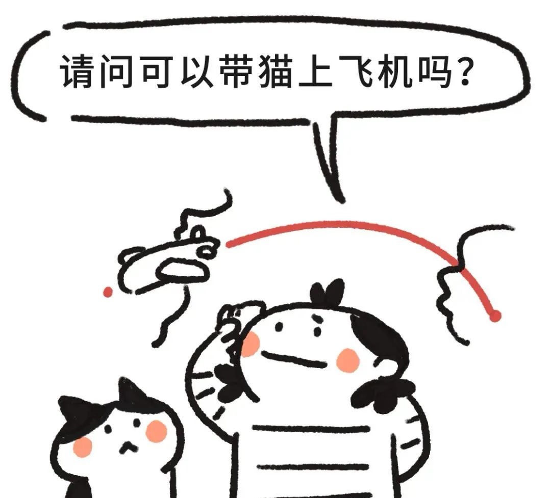 如何给猫咪办理托运吗？