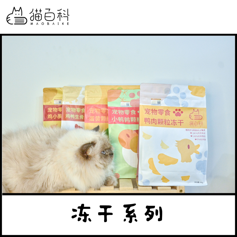 如何给猫咪选择更适合的冻干猫粮？