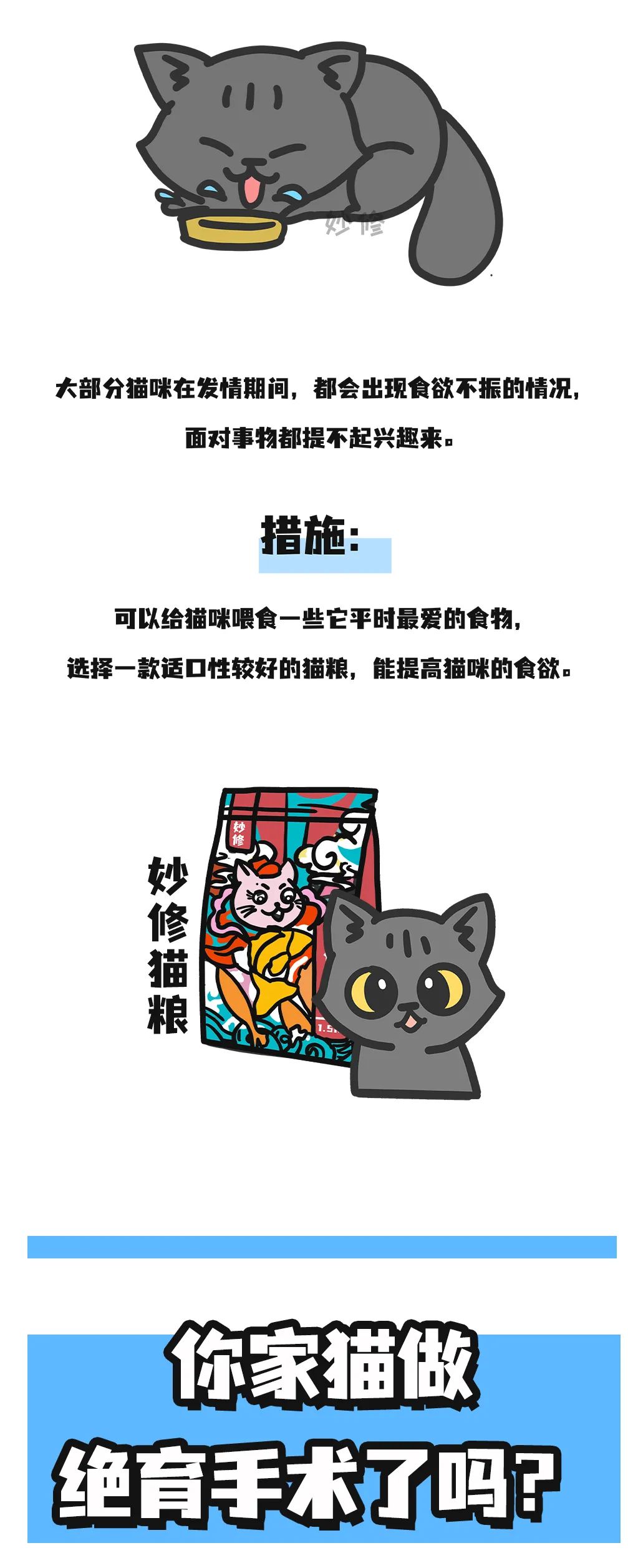 猫咪发情期的5大表现