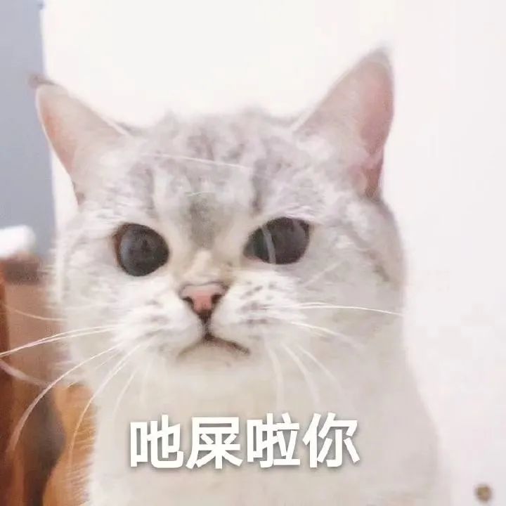 【猫咪表情包】一组臭娜娜超可爱的猫咪表情包