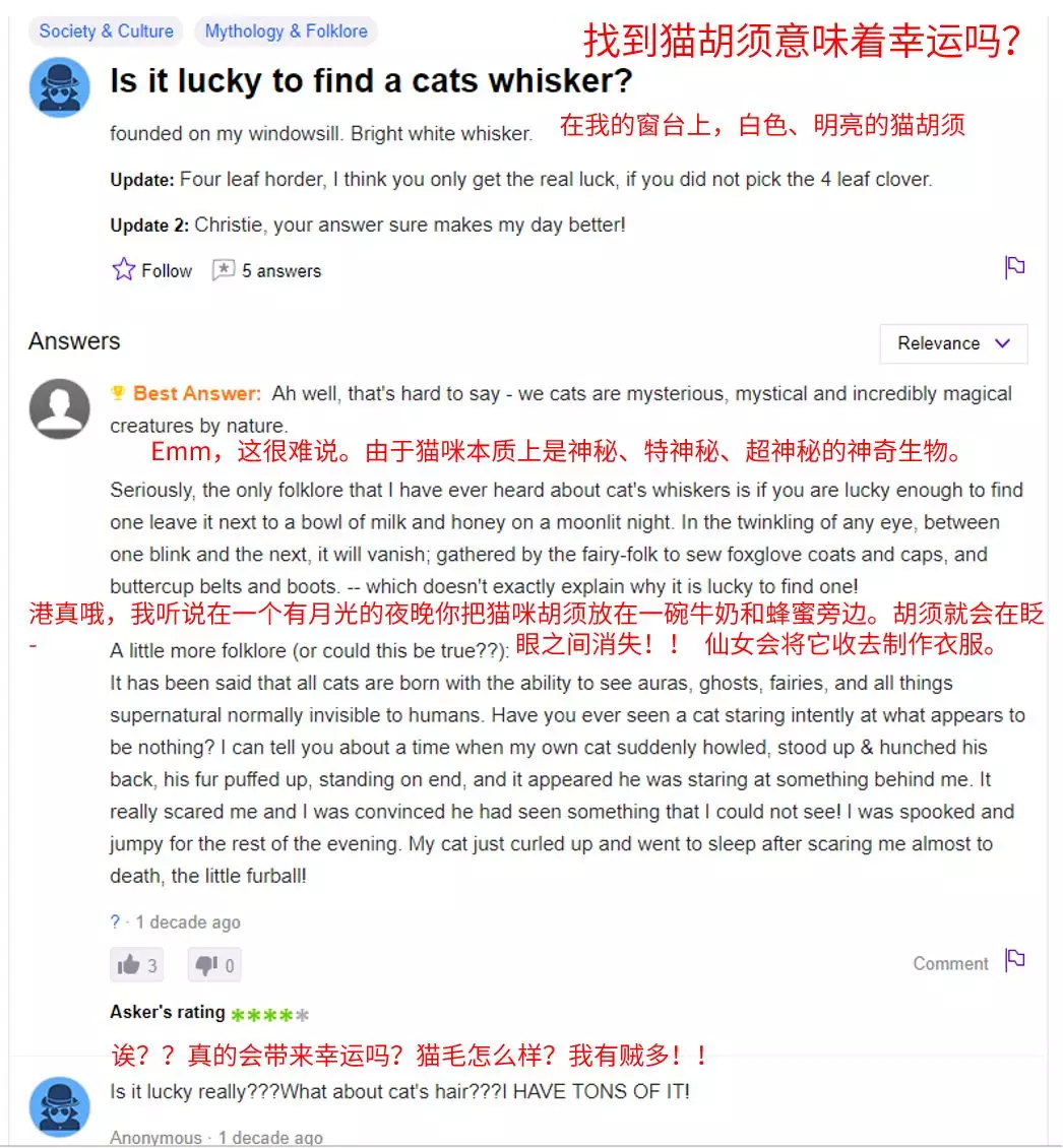 猫咪胡须掉了怎么办？