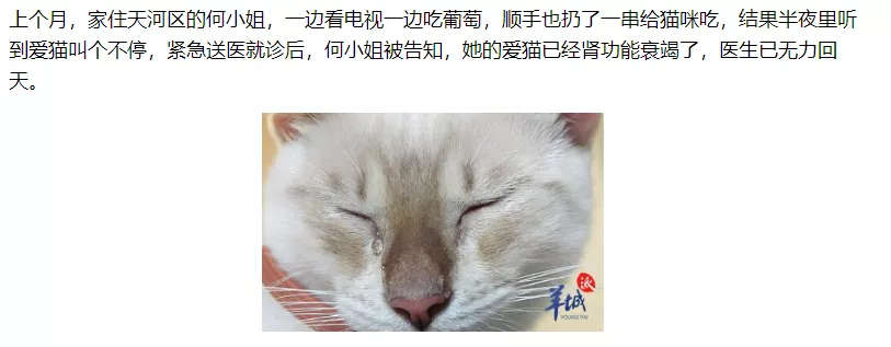 猫咪吃多少克葡萄就会引起中毒？