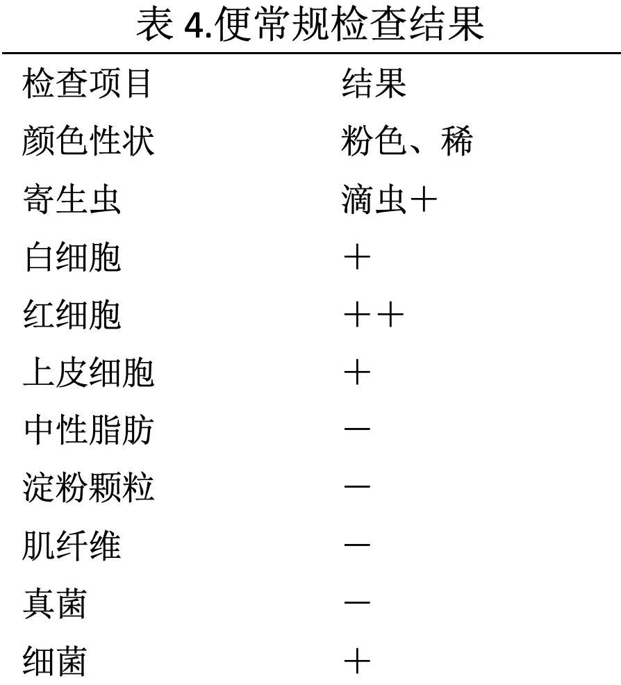 维生素D在猫咪慢性肾病血磷控制中的应用探索