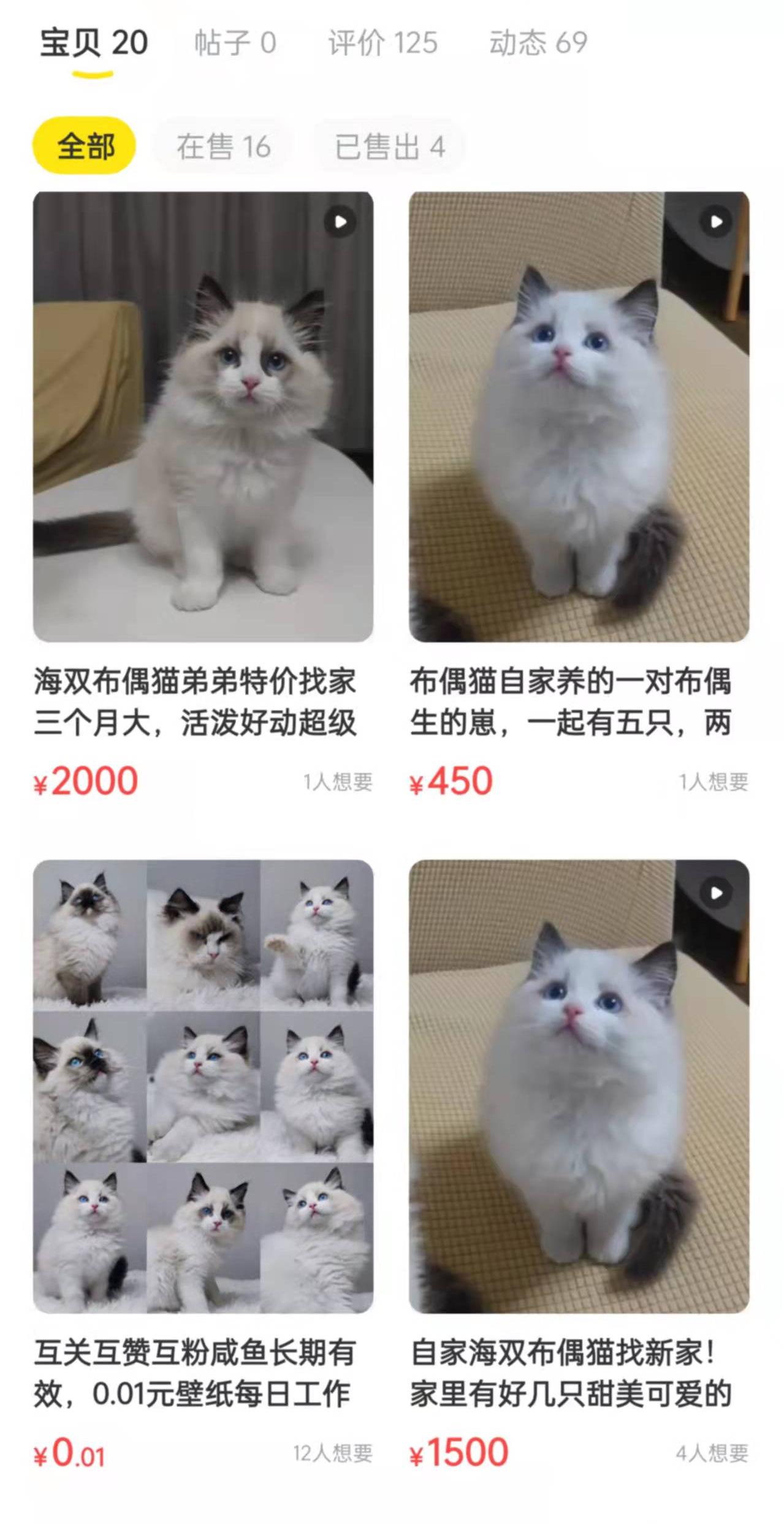 闲鱼上卖猫的套路都有哪些？（能不能在咸鱼上买猫？）