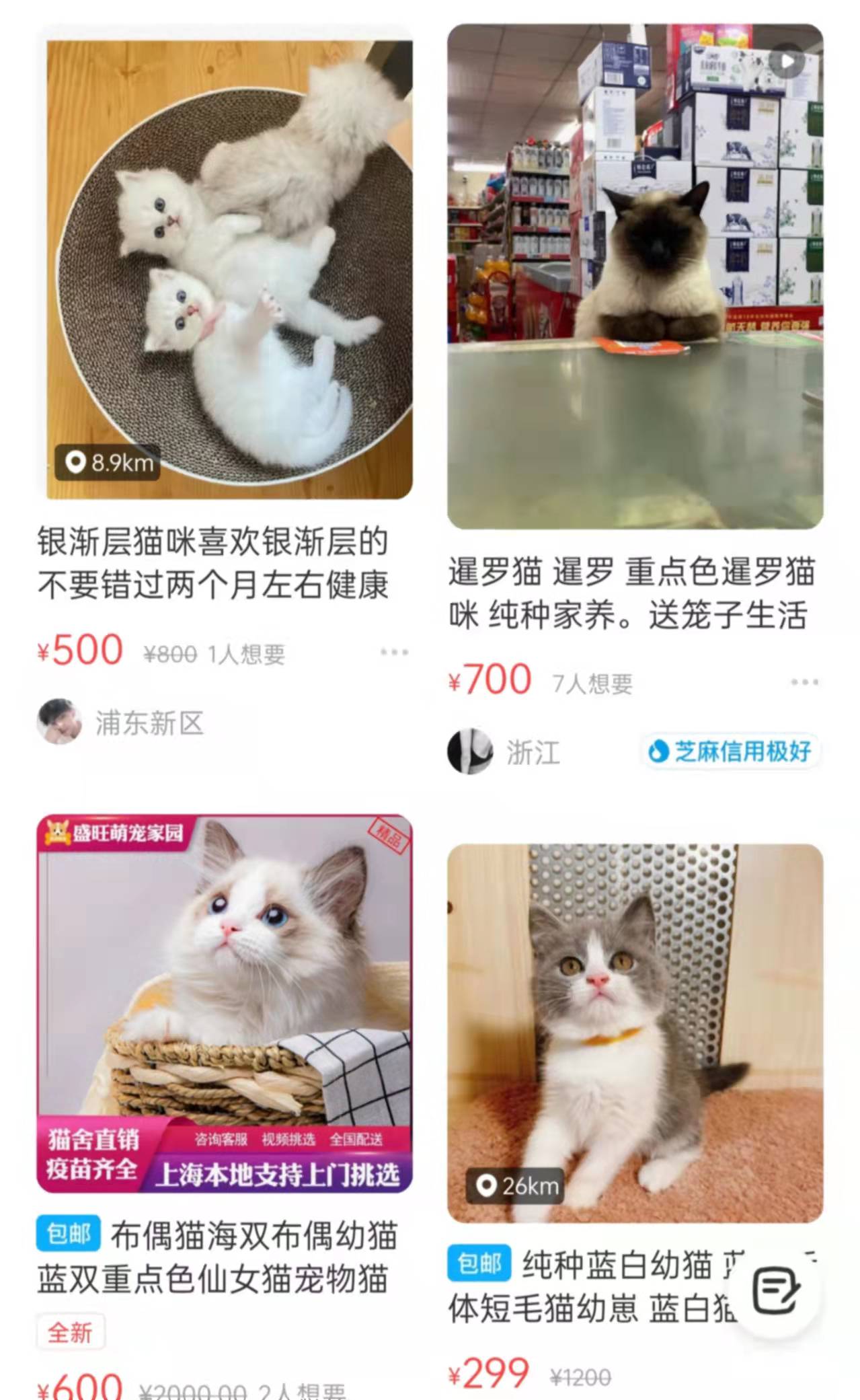 闲鱼上卖猫的套路都有哪些？（能不能在咸鱼上买猫？）