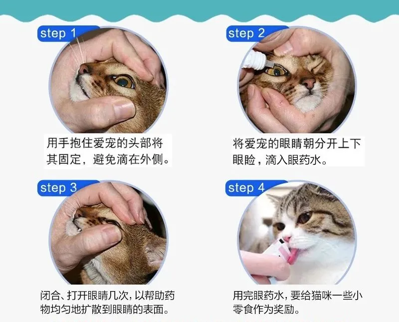 猫咪眼部清洁指南（如何清理猫咪眼部？）