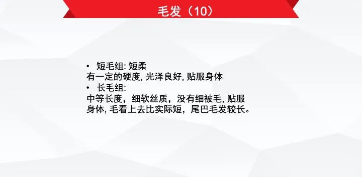 东方短毛猫的CFA品种标准