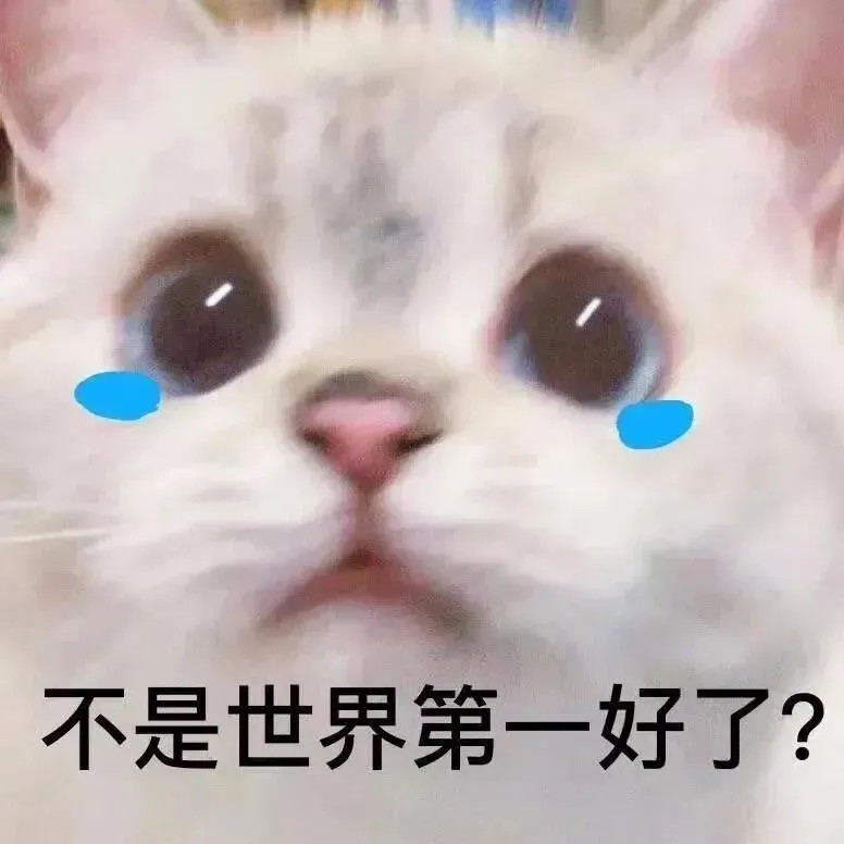 【猫咪表情包】一组臭娜娜超可爱的猫咪表情包