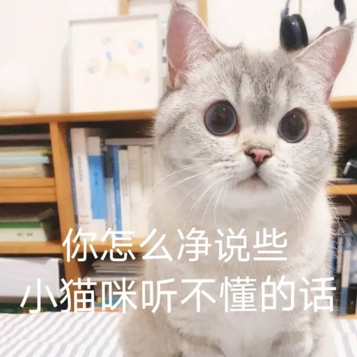 【猫咪表情包】一组臭娜娜超可爱的猫咪表情包