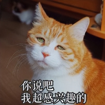 蚊香把猫给害死了？养猫家庭到底该怎么驱蚊啊？