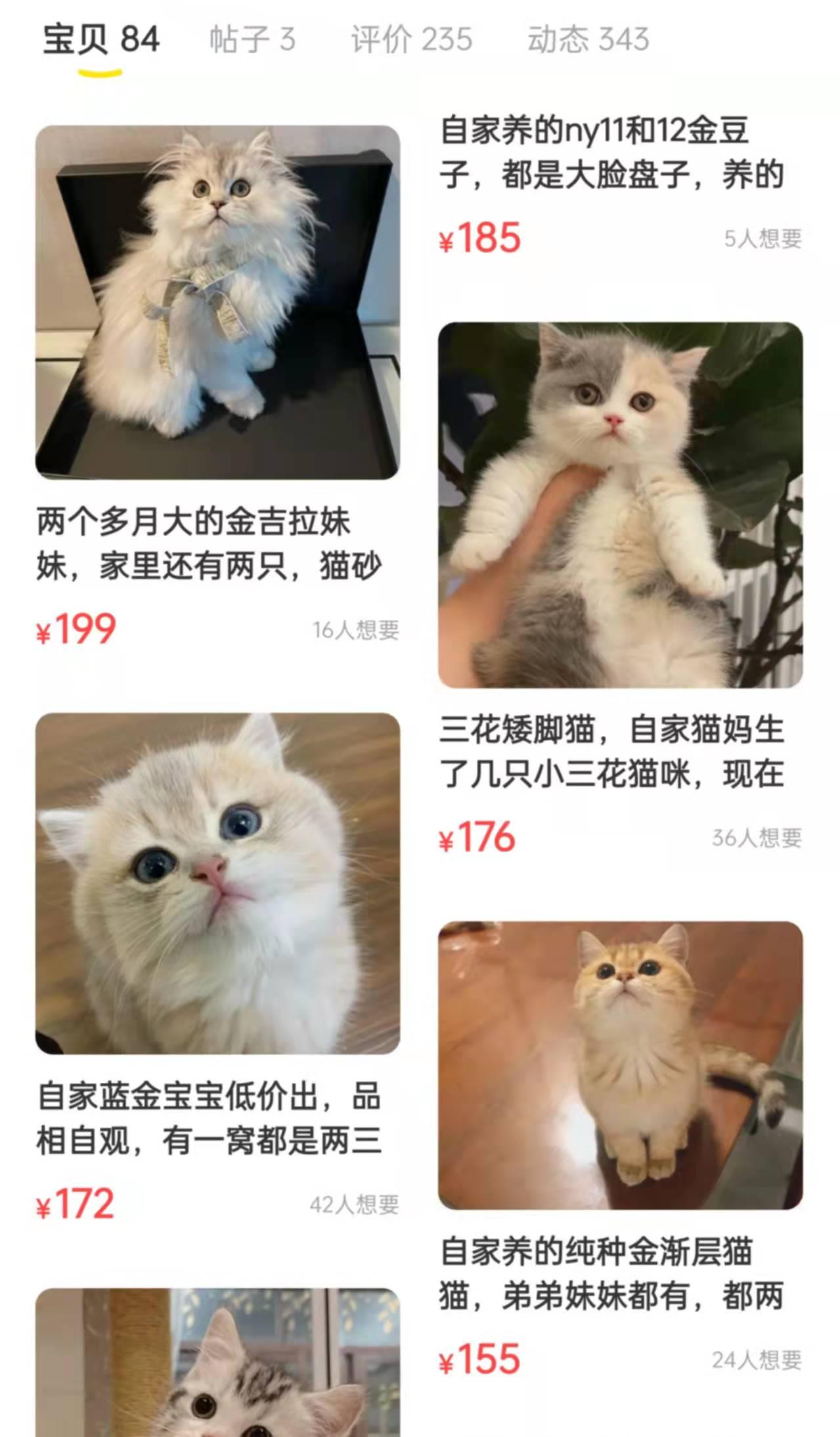 闲鱼上卖猫的套路都有哪些？（能不能在咸鱼上买猫？）