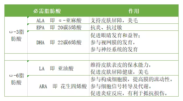 怎么才能让猫咪毛发变好？多给猫咪补充必需的脂肪酸