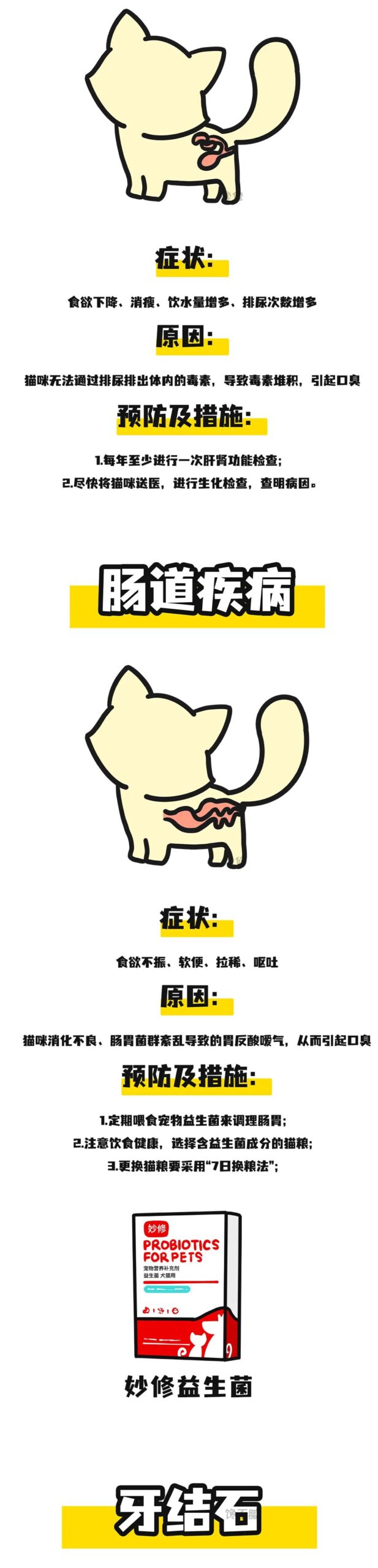 猫咪口臭的5大原因分析（如何预防猫咪口臭？）