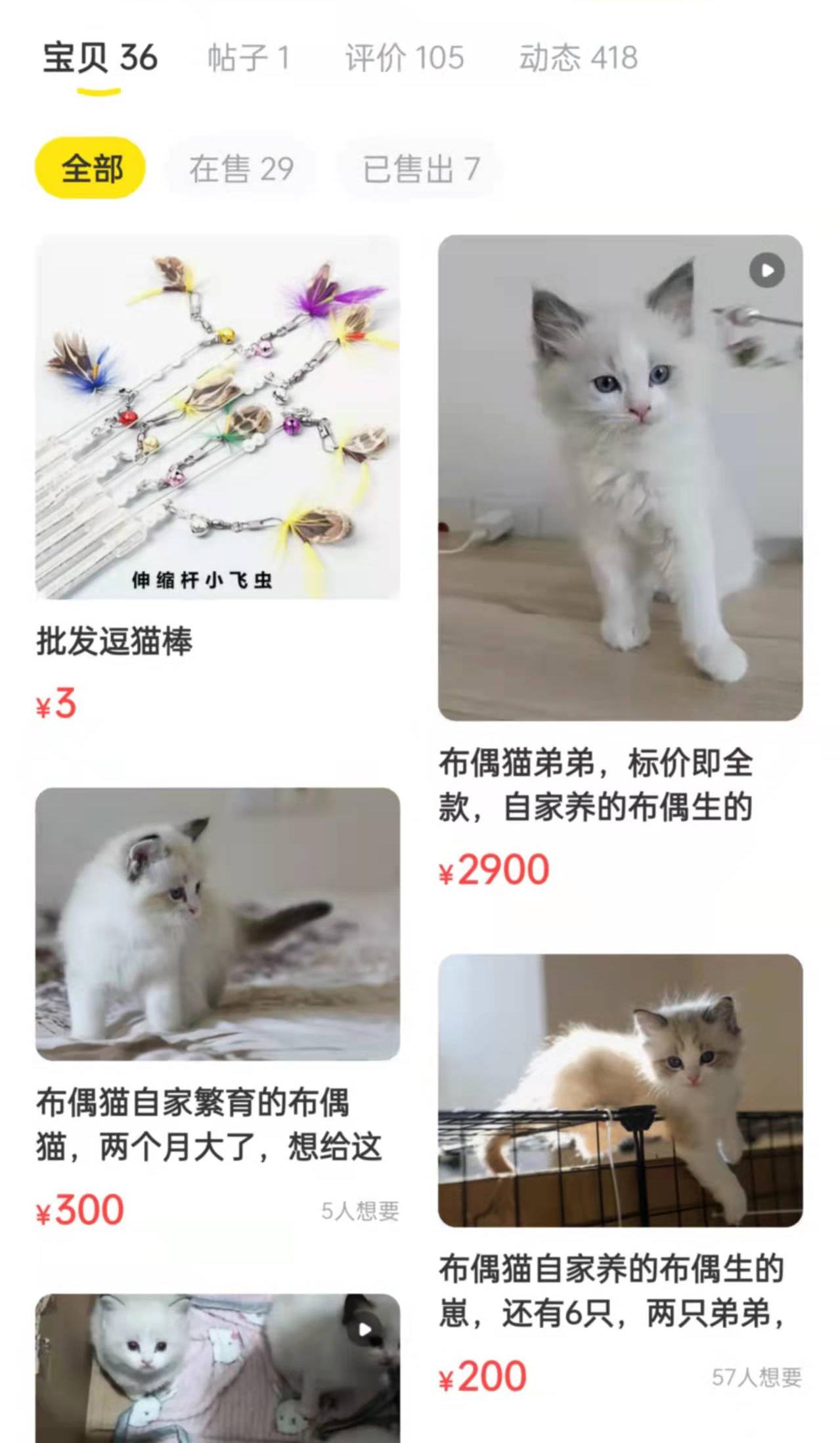 闲鱼上卖猫的套路都有哪些？（能不能在咸鱼上买猫？）