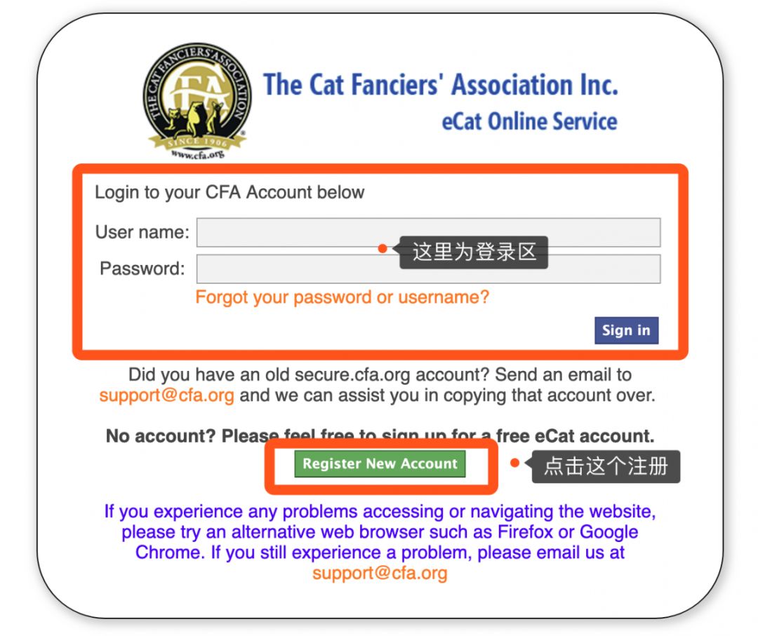 如何申请 CFA 猫咪血统证书？