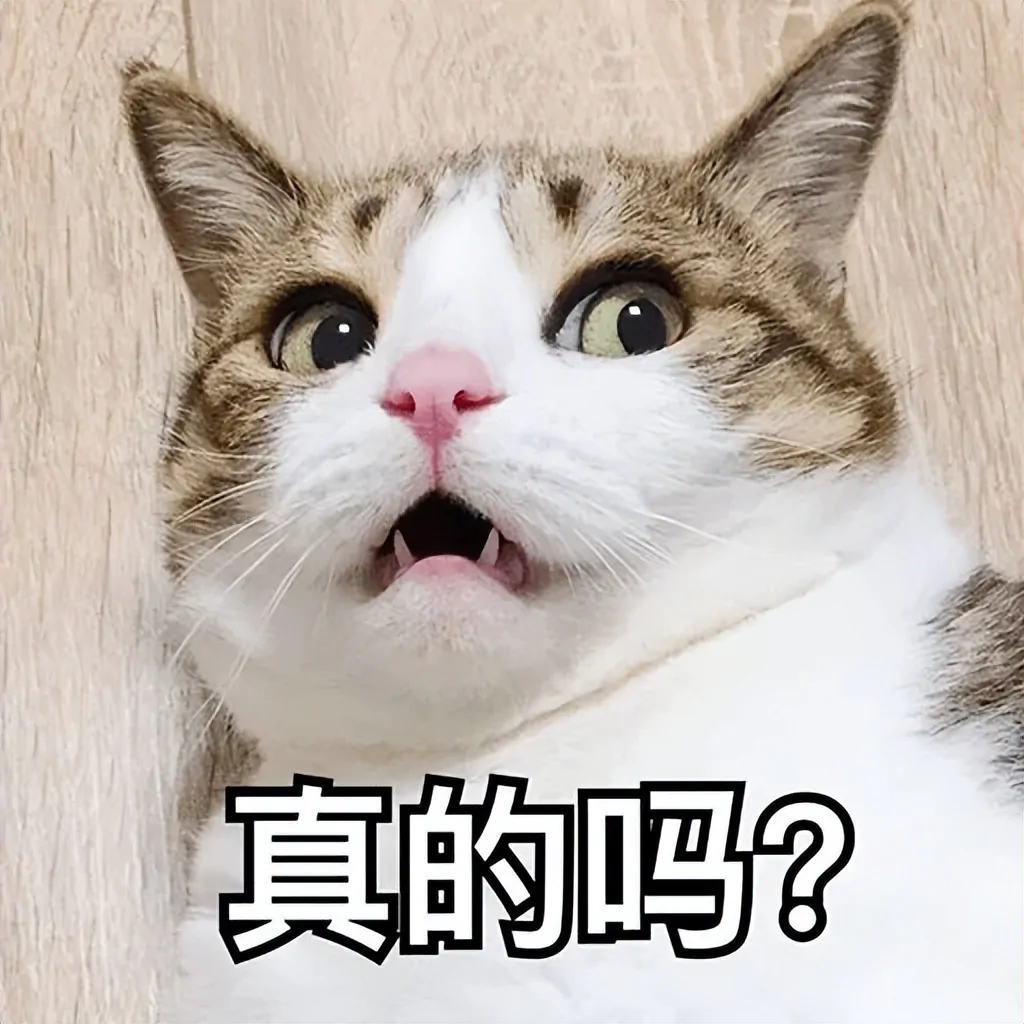 有钱人一般都会养什么品种的猫咪？