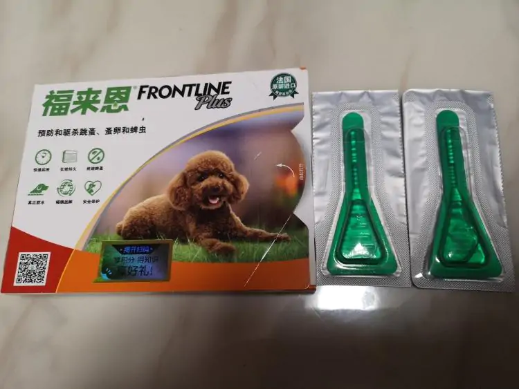 给猫咪驱虫用什么驱虫药？（6种主流的猫咪驱虫药）