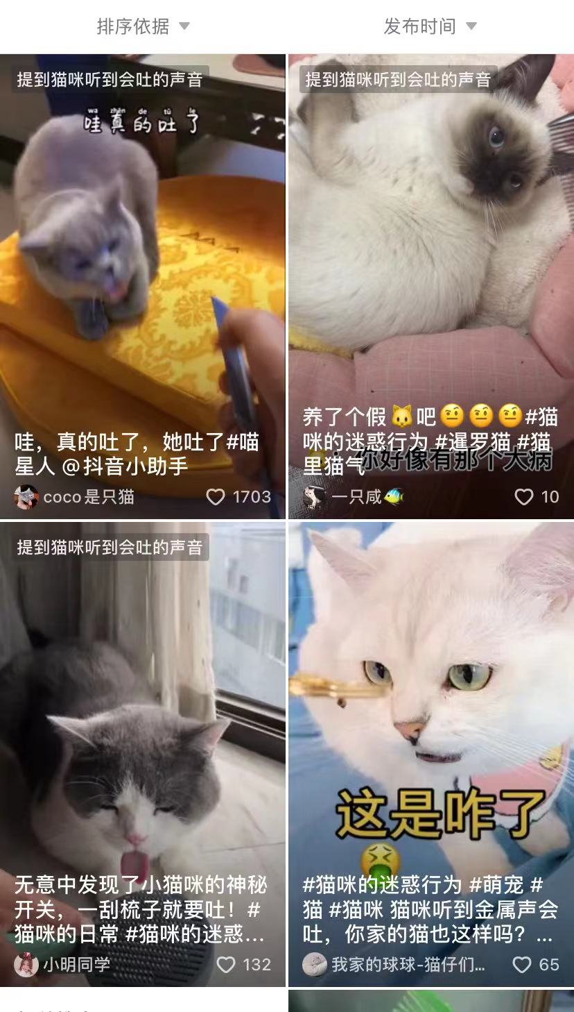 猫咪听到刮梳子的声音真的会吐吗？