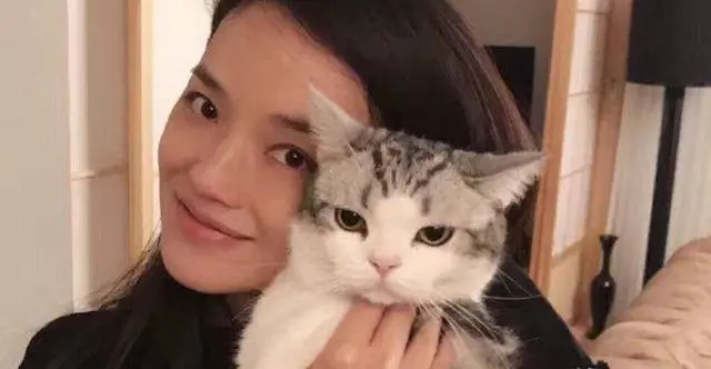 女生为什么喜欢养猫？（女生喜欢养猫的几个原因）