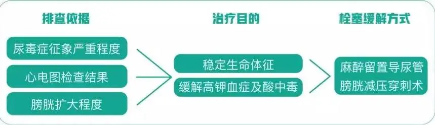 猫咪得了尿道结石怎么养护？